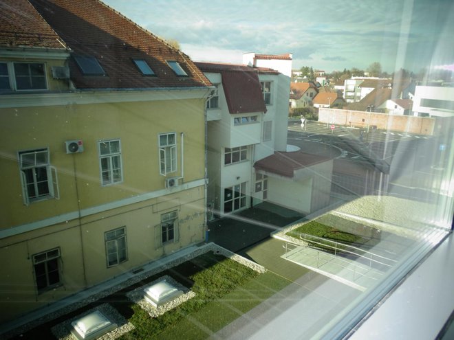 Pogled s trećeg kata bolnice na tepih sačinjen od kućne srećice, puzajuće biljke/Foto: Martina Čapo
