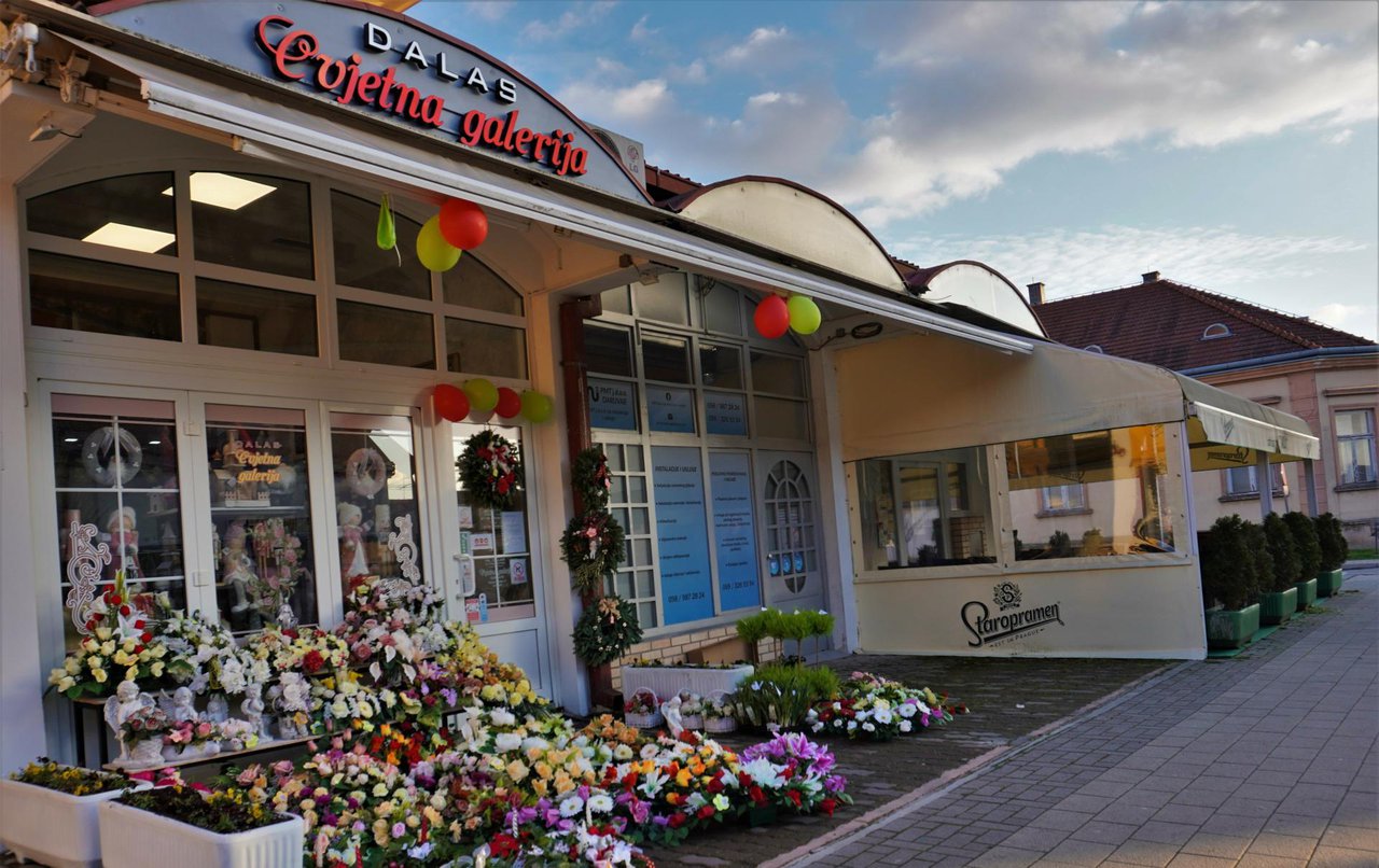 Fotografija: Cvjetna galerija Dalas, novootvorena cvijetna i darovna trgovina u Daruvaru u ulici Stjepana Radića 17/Foto: MojPortal.hr
