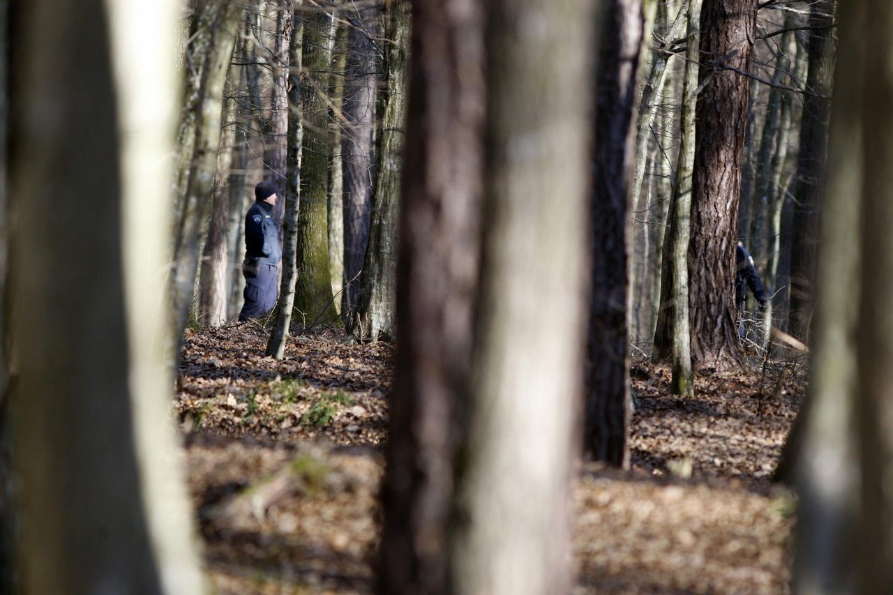 Fotografija: Policija traga za šumskim lopovom/ Foto: Željko Hajdinjak/Cropix (ilustracija)
