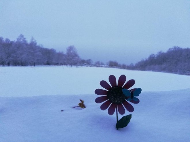 Omanovac je prekrio snijeg/Foto: Dalija Čuljat Nagy
