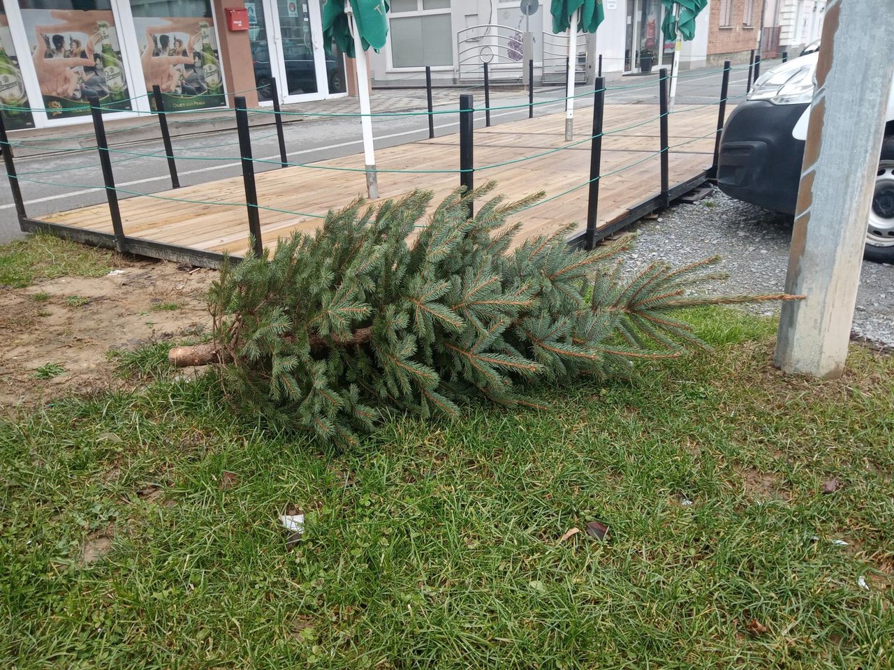 Fotografija: Božićna drvca odložite na za to predviđena mjesta/ Foto: Deni Marčinković
