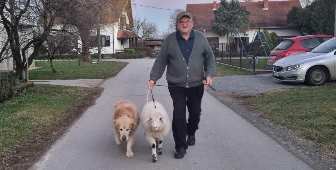 Fotografija: Stjepan u šetnji Hercegovcem sa svoja dva ljubimca, psom i janjetom/Foto: KruGarešnica.info
