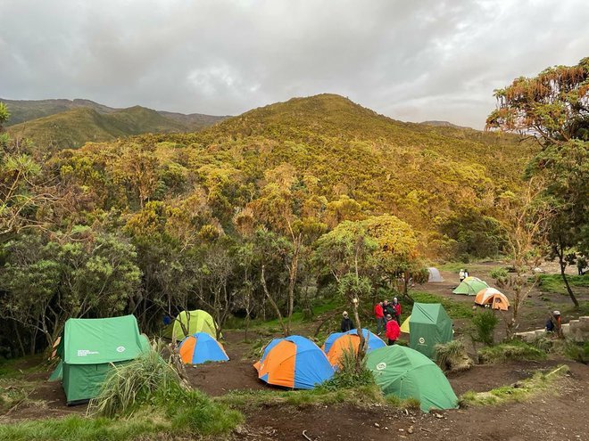 Pogled na kamp i vegetaciju u džungli/Foto: Privatni album
