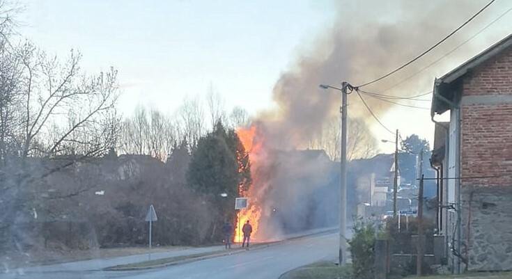 Fotografija: Silovit požar guta čemprese uz glavnu cestu/Foto: Facebook

