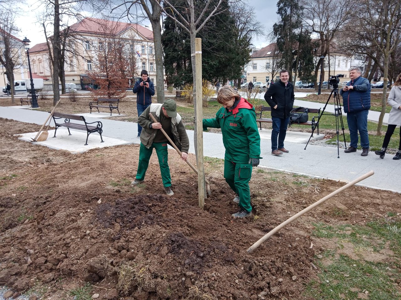 Fotografija: Odsad će se stabla na području Bjelovara saditi planski, a temelj tome je izrada strategije razvoje Zelene infrastukture/ Foto: Deni Marčinković
