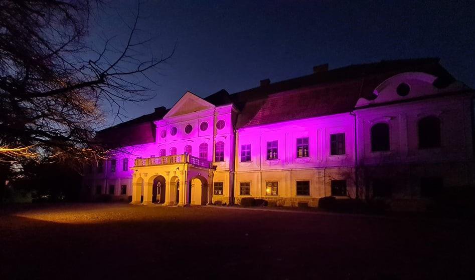 Fotografija: Dvorac grofa Jankovića i prošle godine zasvijetlio je u ružičastoj boji/Foto:Predrag Uskoković
