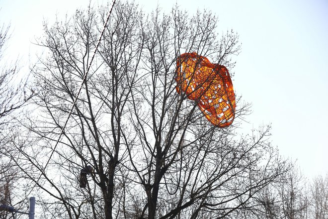 Ostaci padobrana na stablu/Foto: Željko Puhovski/CROPIX
