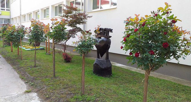 Predivne ruže stablašice/Foto: Osnovna škola Sirač
