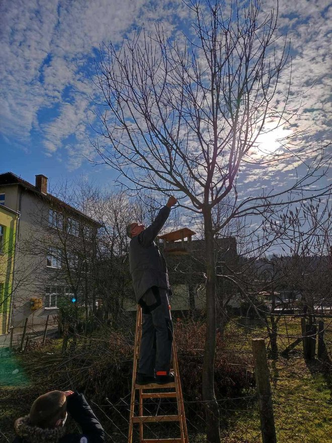 Domar Željko Bajza postavio je hranilicu za ptice na drvo/Foto: OŠ Veliko Trojstvo
