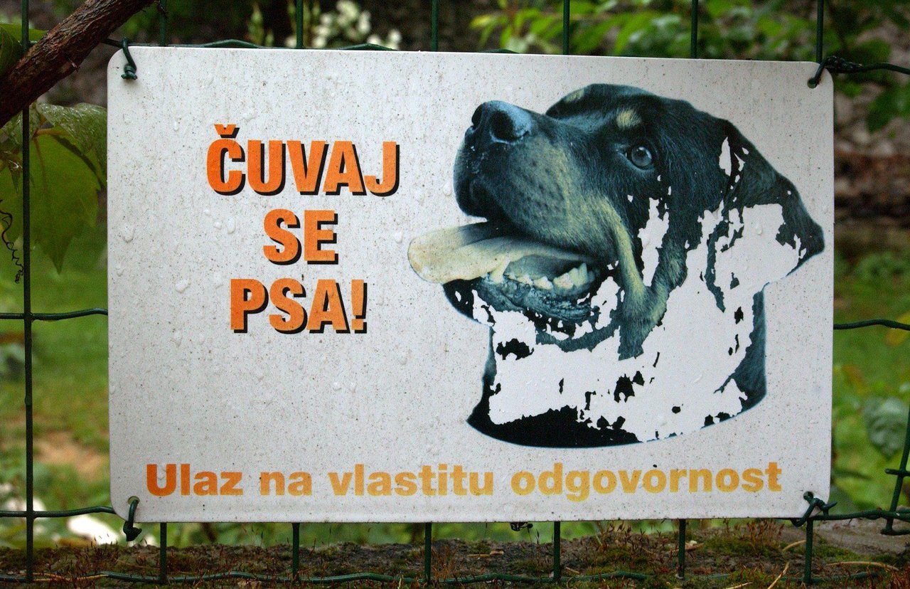 Fotografija: Pas je u Pakranima izašao iz dvorišta i ugrizao drugog psa/ Foto: Goran Šebelić/CROPIX (ilustracija)
