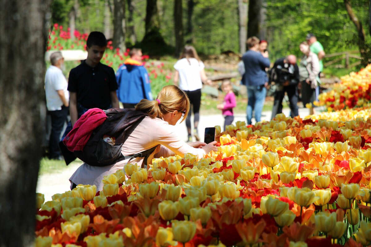 Fotografija: Čazmanski planinari pripremaju izlet za sve majke/Foto: Arboretum Volčji Potok
