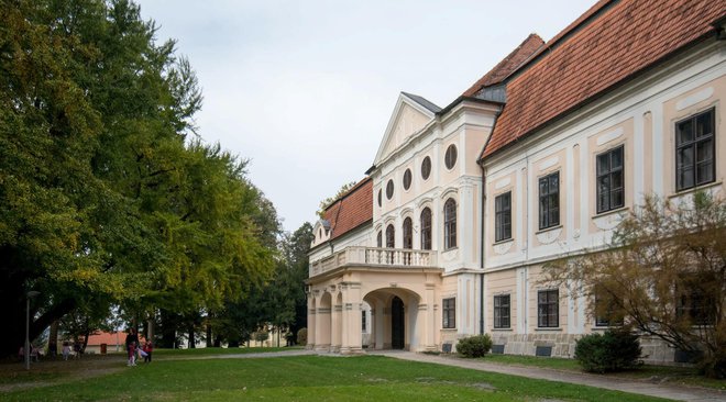 Zavičajni muzej nalazit će se u dvorcu grofa Jankovića/Foto: Predrag Uskoković
