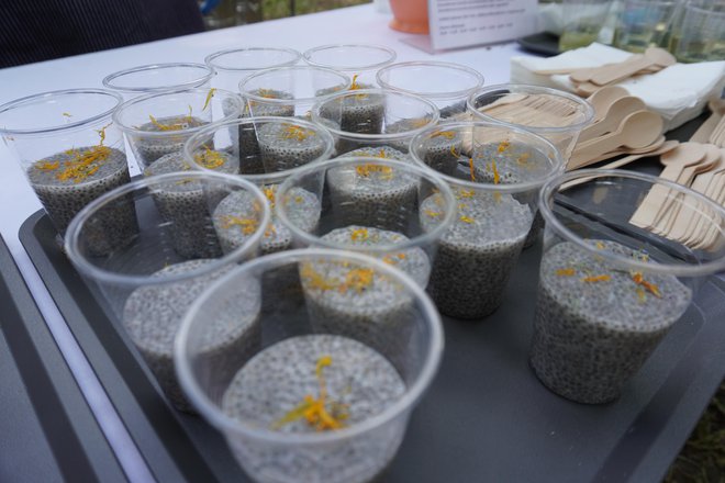 Posebna ponuda na štandu Toplica Lipik, puding od chia sjemenki ukrašen s jestivim različkom/Foto: MojPortal.hr
