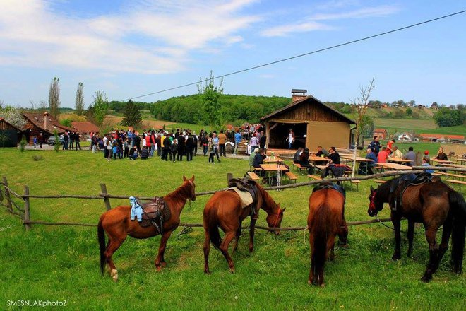Predivni konji kao simbol obilježavanja Jurjevdana/Foto: Željko Smešnjak
