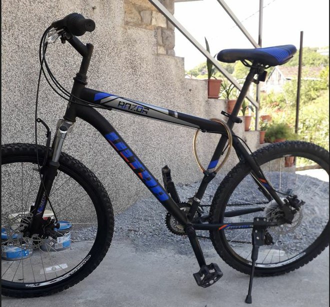 Bicikl ukraden krajem srpnja ipak je vraćen 18-godišnjem vlasniku Antoniju/Foto: Privatni album
