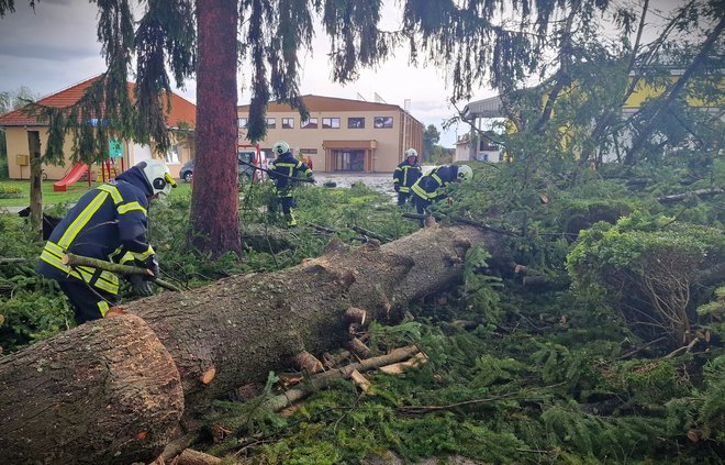 Pripadnici JVP Garešnica uklanjaju srušeno stablo u Bereku/Foto: JVP Garešnica

