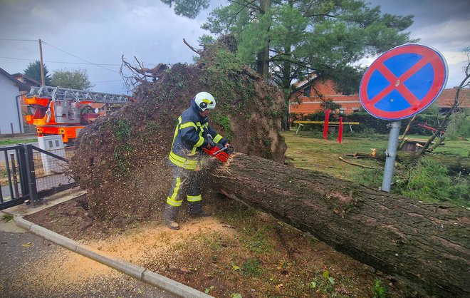 Pripadnici JVP Garešnica uklanjaju srušeno stablo u Bereku/Foto: JVP Garešnica
