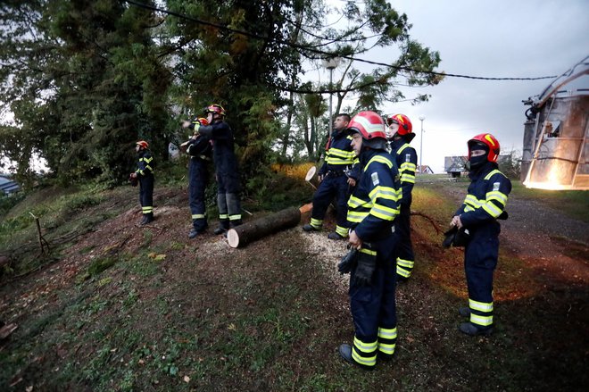 Vatrogasci uklanjaju srušeno drveće/Foto: Ranko Suvar/CROPIX
