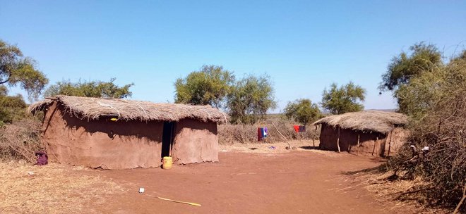 Masajska MANYTTA u kojoj se nalaze Masajske BOME,male kućice sagrađene od zemlje,izmeta slonova,granja i trave/Foto: Privatni album Zdenka Zvonarek
