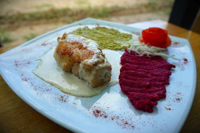 Piletina punjena krem sirom u umaku s namazom od tikvica, kvinoje i cikle/ Foto: Nikica Puhalo/MojPortal.hr
