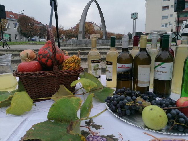 Vina garešničkih vinara spremna za krštenje/ Foto: Janja Čaisa
