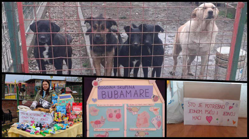 Fotografija: Djeca iz vrtićke skupine Bubamare, iz DV "Vladmir Nazor" Daruvar pomogli su napuštenim psima u virovitičkom skloništu/Foto: Privatni album
