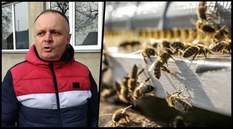 Fotografija: Dobro došli su i pčelari iz susjednih županija/Foto: Deni Marčinković/MojPortal, Bozidar Vukicevic/CROPIX