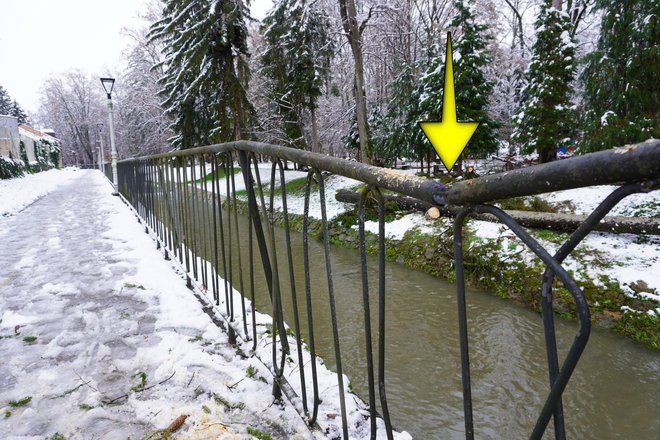 Oštećena ograda od pada smreke/Foto: Nikica Puhalo/MojPortal.hr