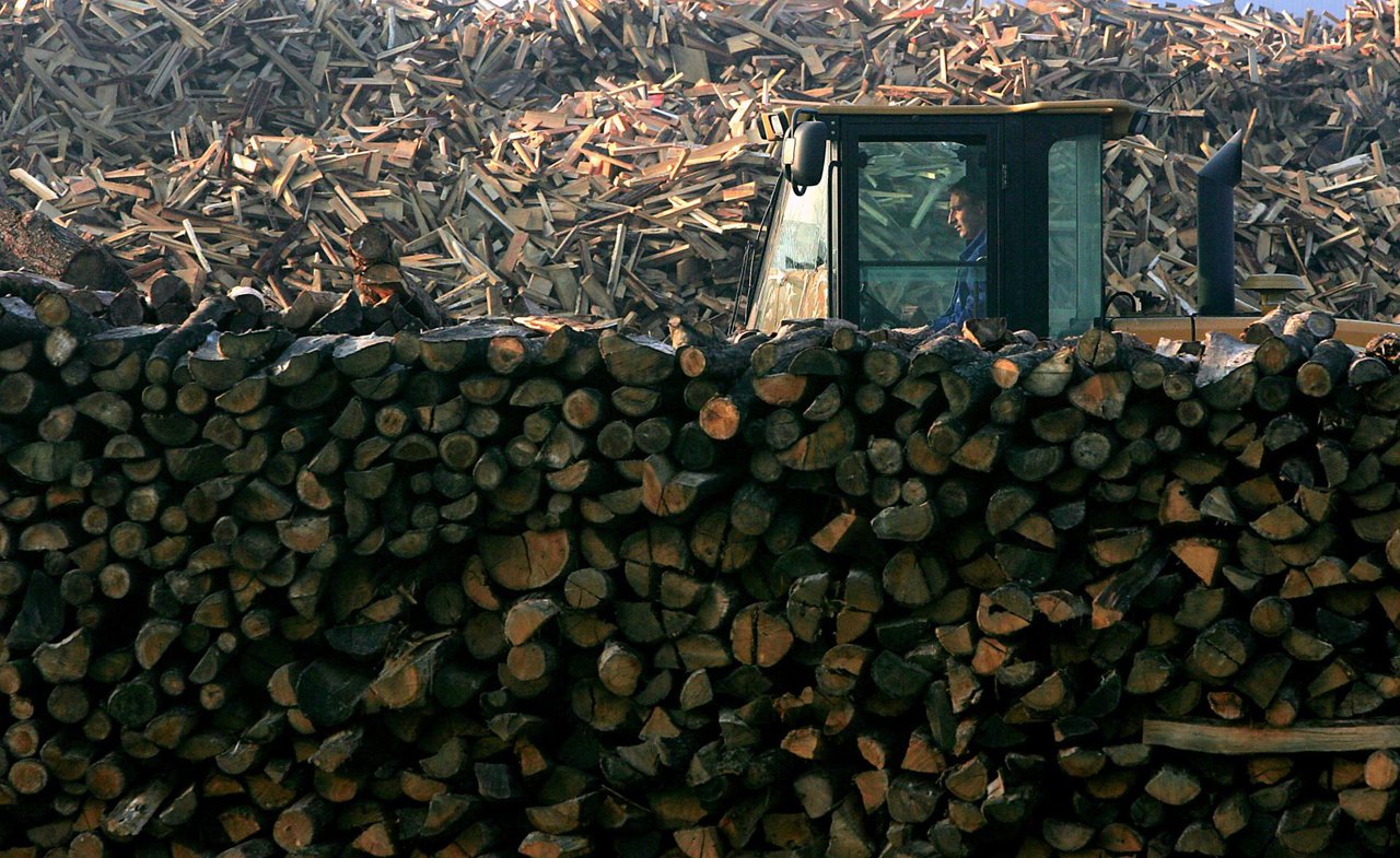 Fotografija: 
Nastalu štetu vlasik šume cijeni na nekoliko tisuća eura/Foto: Vlado Kos/CROPIX (Ilustracija)