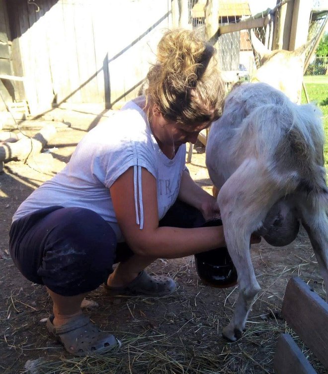 Mužnja koza pomogla joj je smanjiti nuspojave kemoterapije/Foto: Privatni album