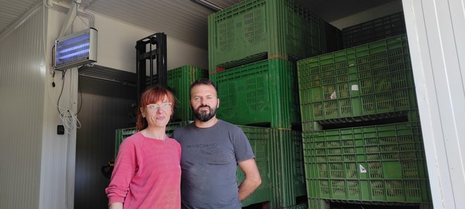 Karolina i Sven zahvaljujući skladištenju batata, imaju uvjete da isti mogu prodavati u kasnijim mjesecima i na taj način postići višu cijenu/Foto: Martina Čapo