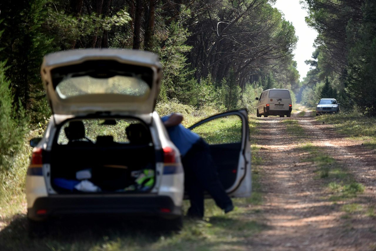 Fotografija: Policija traga za šumskim lopovima/Foto: Luka Gerlanc/CROPIX (ilustracija)