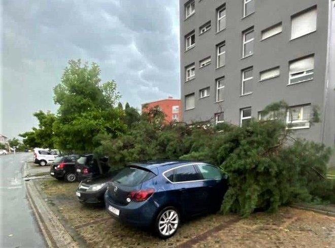 U Lipiku su stabla padala na automobile/Foto: Zuluf