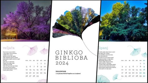 Dođite večeras u 18 u dvorac po svoj primjerak jedinstvenog kalendara "Ginkgo biblioba"!