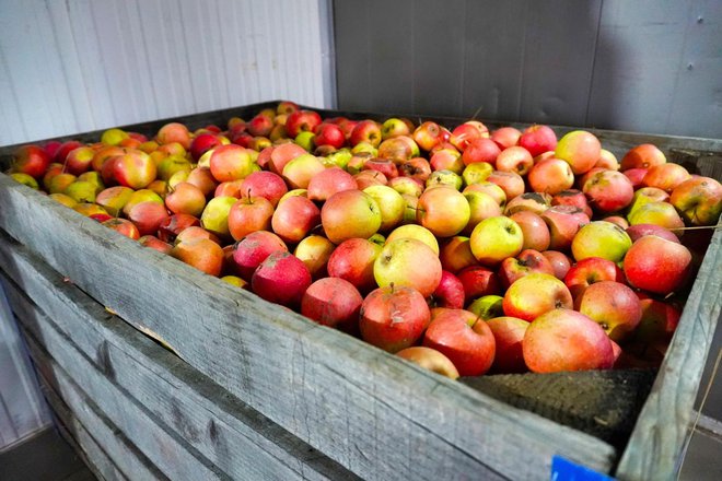 Sokovi se proizvode od 100 posto voća, bez dodataka /Foto: Tomislav Kukec/MojPortal.hr