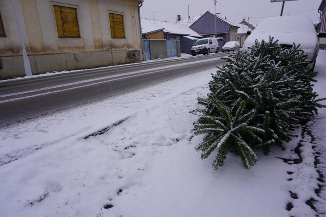 Ulice Daruvara zabijelio je snijeg/ Foto: Tomislav Kukec/MojPortal