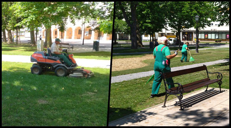 Fotografija: Nastavlja se saga oko odabira koncesionara za održavanje zelenih javnih površina u Bjelovaru/ Foto: Deni Marčinković