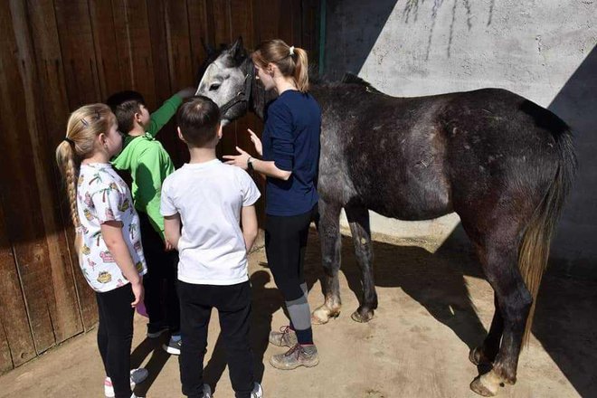 Edukativna radionica na kojoj Kate uči djecu kako pristupiti konju/Foto: Privatni album