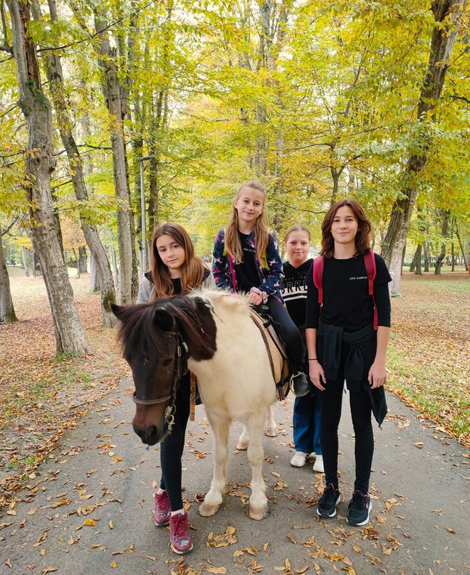 Najmlađi posjetitelji imat će priliku jahati na ponijima/Foto: OPG Jakupec -Konjički klub Epona