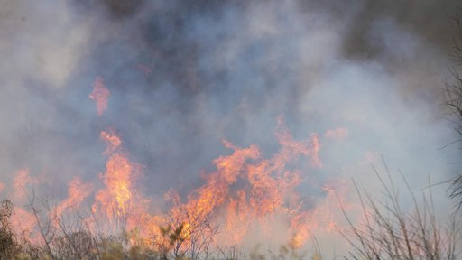 Izgorjelo 500 kvadratnih metara suhe trave i niskog raslinja na njivi u Đulovcu